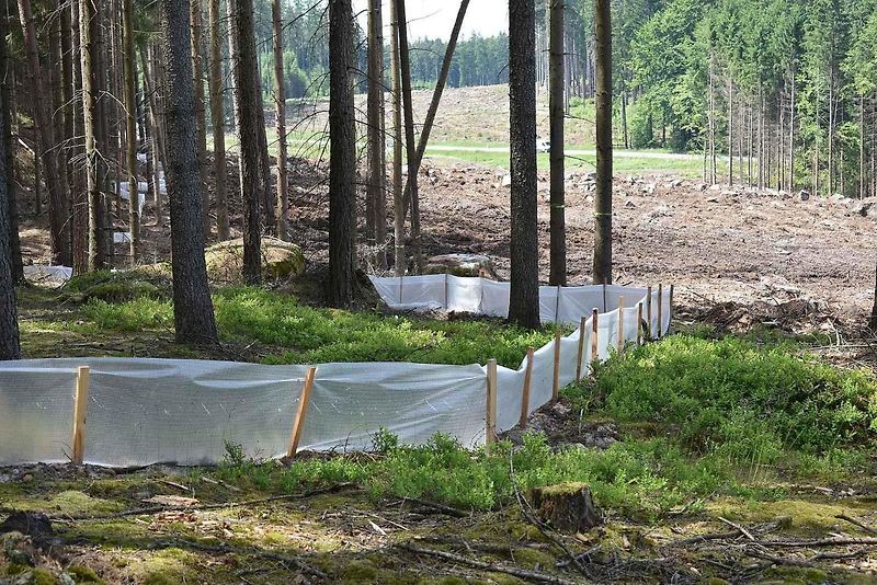 Na trase D11 Jaroměř - Trutnov skončilo kácení dřevin.