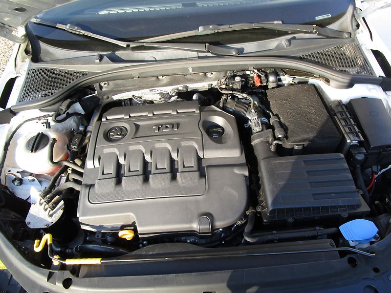 Škoda Octavia 1,6TDI-81KW-KOUPENA v ČR+STK - fotka 14 z 15