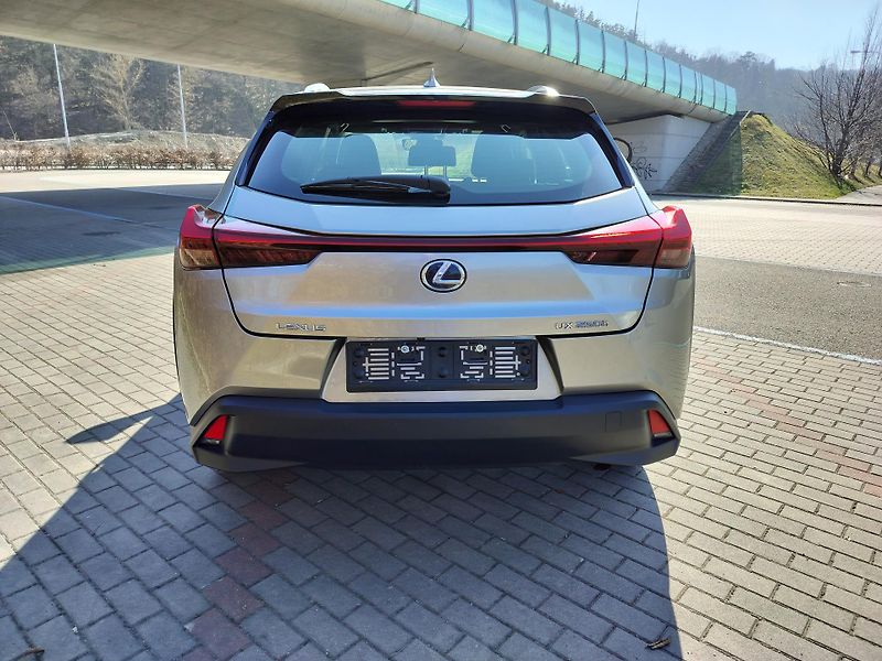 Lexus UX 250h BUSINESS edition,alcantara - fotka 6 z 25