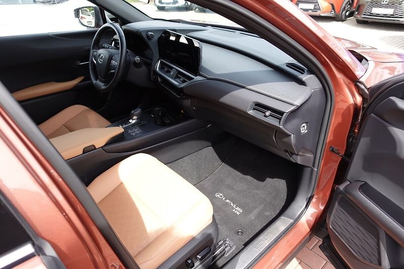 Lexus UX 300h UX300h Luxury 4x4 - fotka 13 z 38