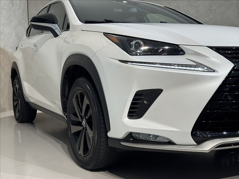 Lexus NX 300h 2,5   Hybrid Luxury LED Assist - fotka 5 z 47