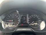 Škoda Octavia (2014) 1,6TDi CR 77kW AMBITION - náhled 13