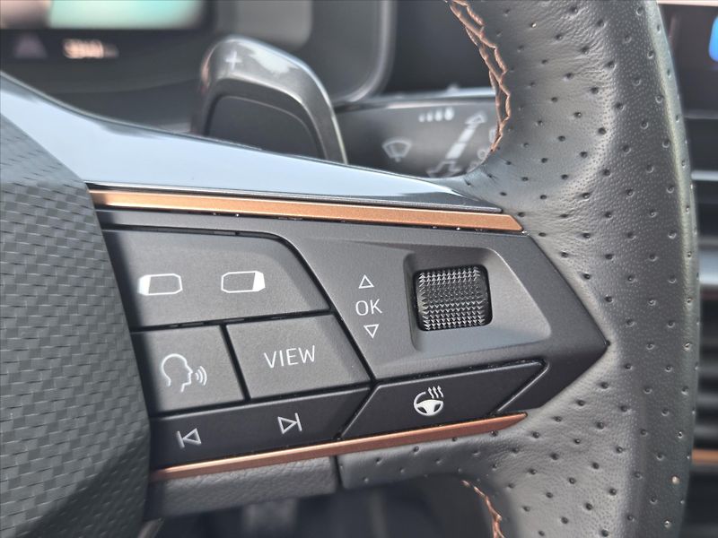 Cupra Formentor 2,0 TSi DSG 4x4 Záruka2029 ČR - fotka 16 z 22