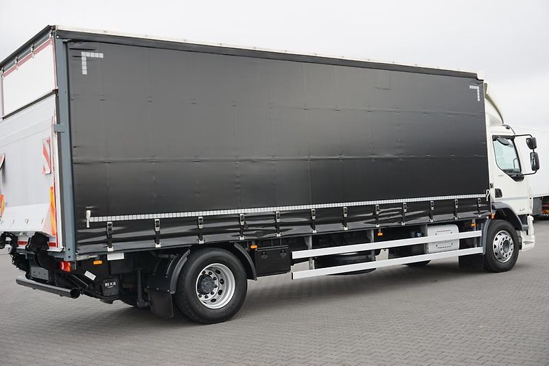 DAF LF (2019) 290 / E 6 / FIRANKA + WINDA /  - fotka 31 z 44