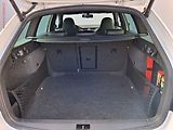 Škoda Octavia (2016) 2.0TDi, ČR, RS, bixen, kůže - náhled 7