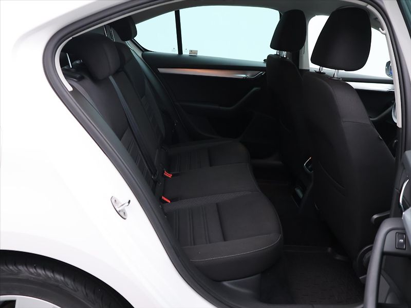 Škoda Octavia 1,6 TDI 85kW Ambition CZ - fotka 13 z 30