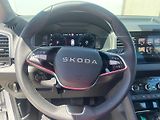 Škoda Karoq (2025) SEL TS 110/1.5 A7F - náhled 19
