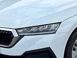 Škoda Octavia (2024) Combi 2.0 TDI Ambition - náhled 8
