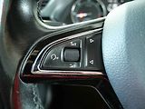 Škoda Superb (2015) 1.6 TDi, DSG, bixen, navi - náhled 17