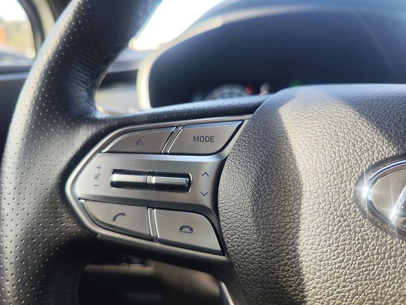 Hyundai Santa Fe 2.2 CRDi/142kW Luxury PNM DCT - fotka 31 z 39