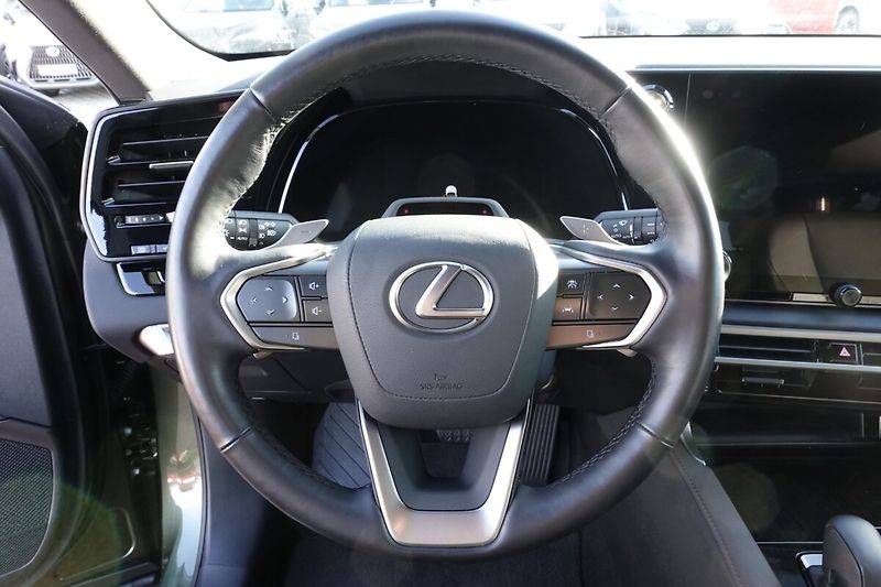 Lexus RX 450h plus ZLEVNĚNO RX450h+ Plug-in Execu - fotka 18 z 33