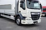 DAF LF (2018) 320 / ACC / E 6 / BURTOWY / 24 - náhled 31
