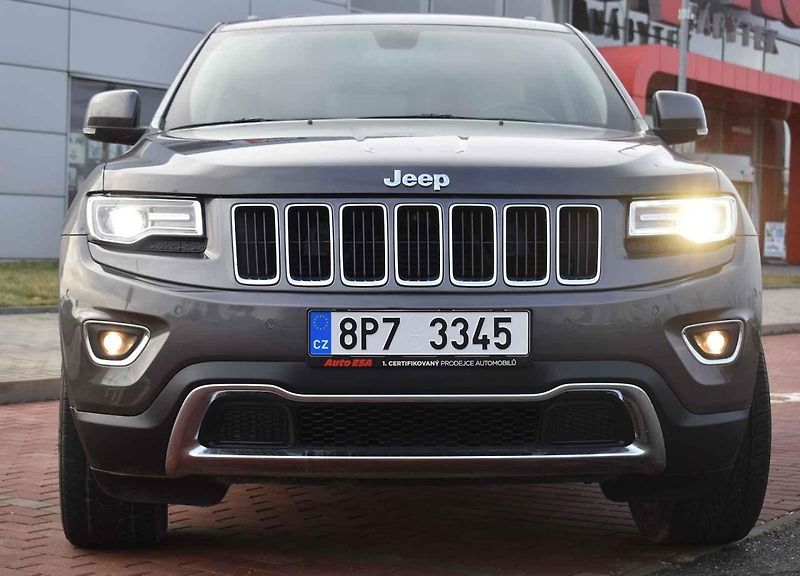 Tento sedmiletý exemplář se prodává za necelých 600 000 Kč