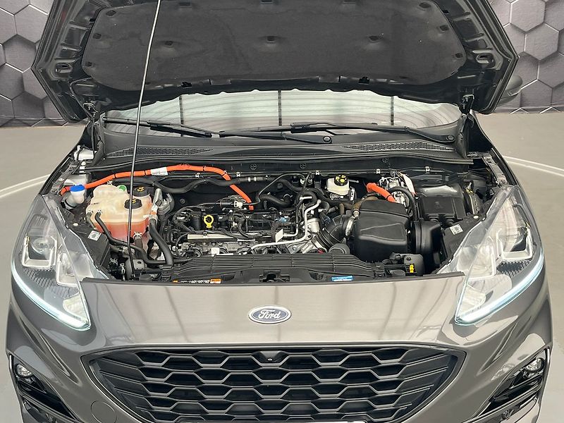 Ford Kuga 2.5 Duratec HEV 4x4 ST-LINE - fotka 35 z 66