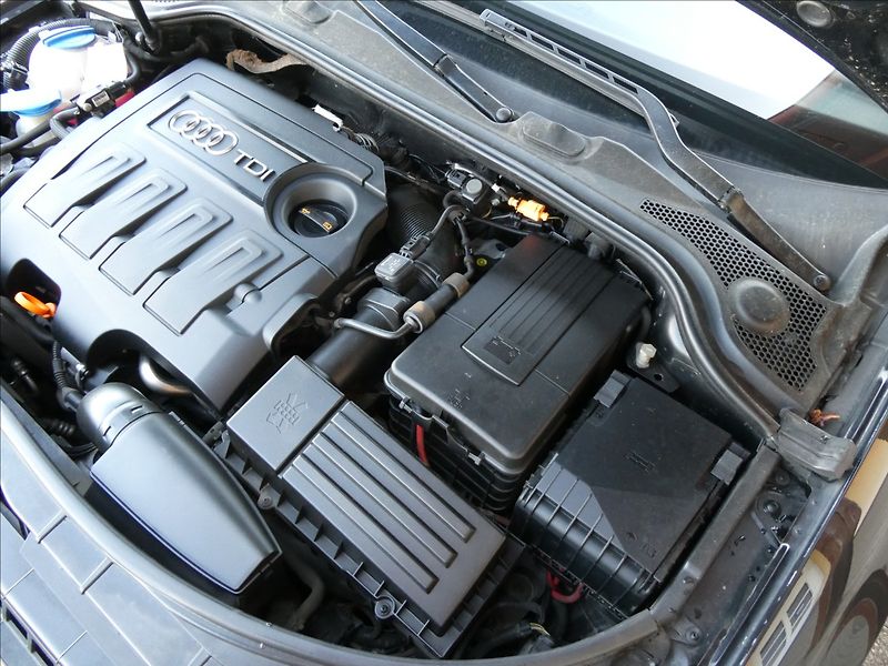 Audi A3 1,6 TDi 77kW serviska,digi.kli - fotka 38 z 47
