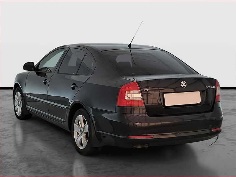Škoda Octavia (2008) 1.9 TDI DPF, Tempomat - fotka 4 z 15