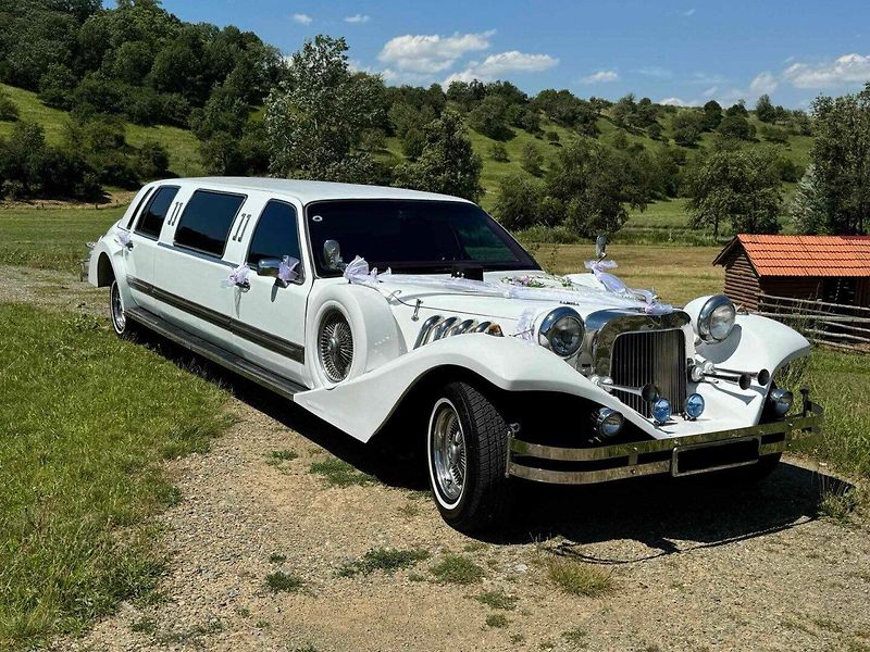Lincoln Town Car (1991) 5.0 MOTOR MUSTANG - fotka 1 z 6