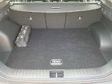 Kia Sportage (2024) 1.6 T-GDI 4x4 Exclusive - náhled 29