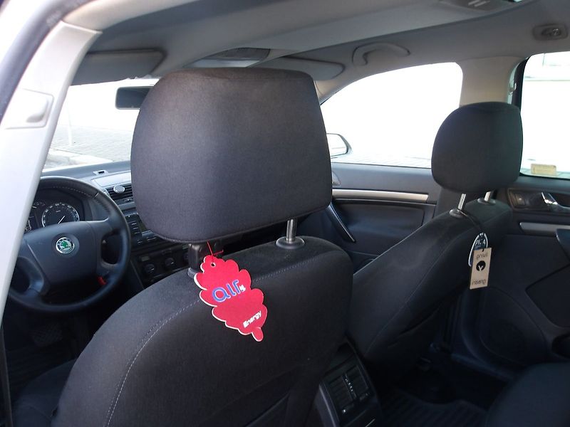 Škoda Octavia 2,0TDi DSG !!! ČR 2.MAJITEL ! - fotka 22 z 43