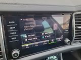 Škoda Kodiaq (2023) STY 4X4 TD 110/2.0 A7A - náhled 17
