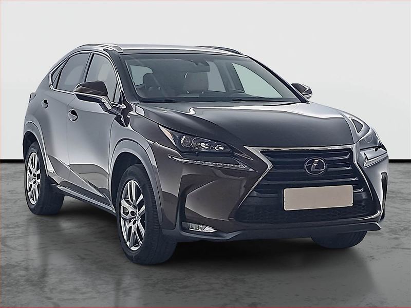 Lexus NX 300h (2016) 300h - fotka 1 z 17