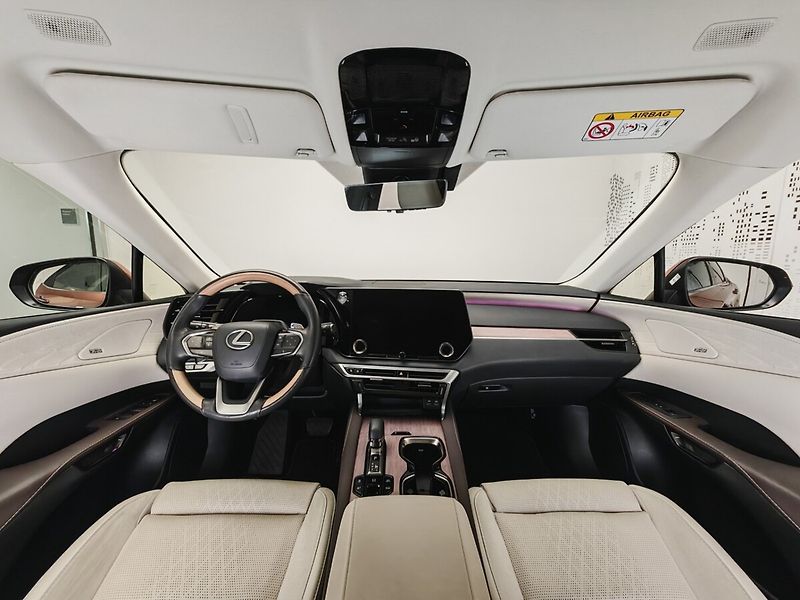 Lexus RX 450h plus RX 450h+ Luxury - fotka 16 z 50