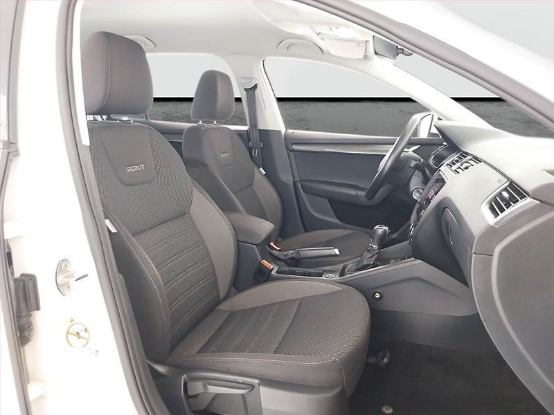 Škoda Octavia (2019) Scout 2.0 TSI, 4X4, Automat - fotka 9 z 26