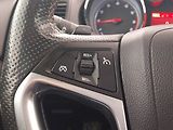 Opel Insignia (2013) OPC Line 2.0 Turbo, Automat - náhled 16
