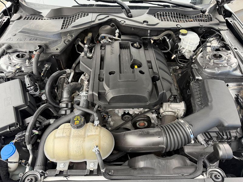 Ford Mustang (2021) 2.3 EcoBoost Manuál BMPR 2021  - fotka 25 z 25