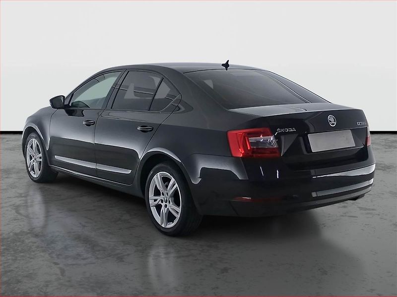 Škoda Octavia (2019) Elegance 2.0 TDI, Tempomat - fotka 4 z 17