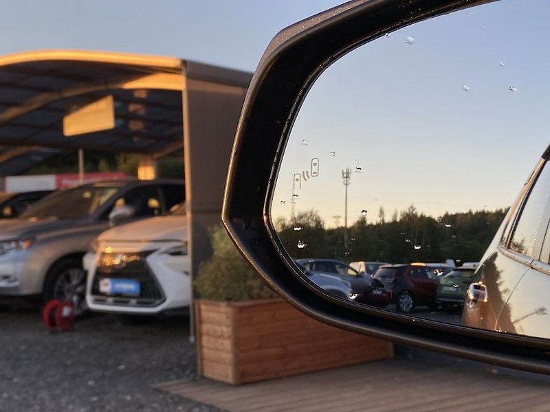 Toyota RAV4 2.5HSD, ČR, Executive, 4x4 - fotka 18 z 20