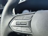 Hyundai Santa Fe 2.2 CRDI/142kW Luxury DCT 4x4 - náhled 30