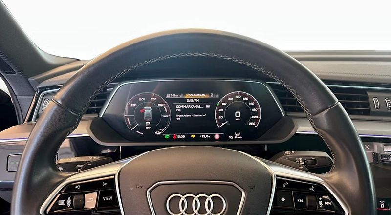 Audi Q8 e-tron SB 50 Q 360k Pano Matrix Tažné - fotka 14 z 21