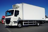 DAF LF (2022) 260 / ACC / EURO 6 / CHŁODNIA  - náhled 21