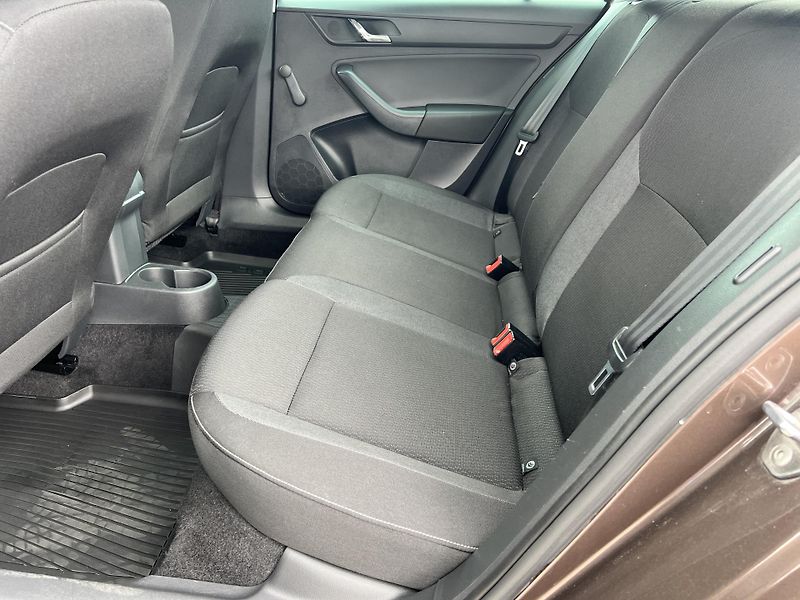 Škoda Rapid 1.2TSi 77kw KLIMA KOUPENO V ČR - fotka 25 z 37