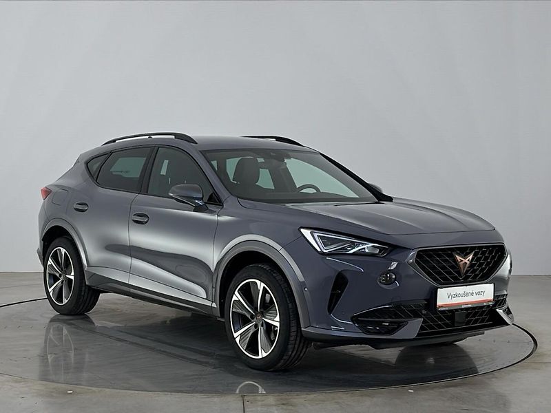 Cupra Formentor DSG - fotka 14 z 30
