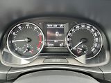 Škoda Fabia JOY 1.0MPi 55kw KLIMA NAVI ALU - náhled 17