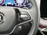 Škoda Octavia - náhled 16