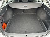 Škoda Octavia (2022) Combi 2.0 TDI 4x4 DSG Scout - náhled 29