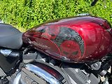 Harley-Davidson (2014) XL 1200 CP Sportster 1200 Cust - náhled 11