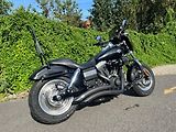 Harley-Davidson FXDF Dyna Fat Bob (2012) - náhled 1