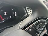 Škoda Kodiaq (2019) 2.0 TDI 4x4 DSG Style - náhled 23