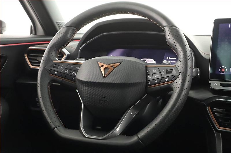 Cupra Formentor (2023) 2.0 TSI 4Drive - fotka 8 z 20