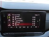 Škoda Octavia (2022) 2.0 TDi, ČR, Style, LED - náhled 16