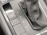 Seat Tarraco (2019) 2.0 TDi 4x4, Xcellence, DSG - náhled 14