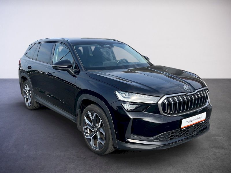 Škoda Kodiaq (2024) Exclusive Selection 2.0TDi 4x4 - fotka 7 z 31