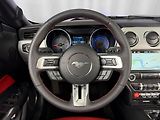 Ford Mustang 5.0 V8 GT CABRIO, ROUSH VÝFUKY - náhled 14