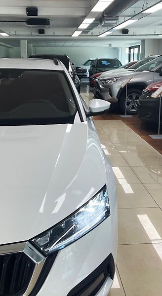 Škoda Octavia 2.0 TDI, 85 KW, AMBITION, ČR - fotka 19 z 24