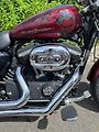 Harley-Davidson (2014) XL 1200 CP Sportster 1200 Cust - náhled 10