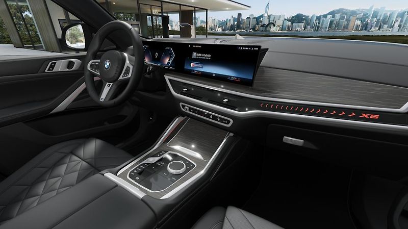 BMW X6 xDrive30d - fotka 14 z 14